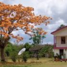 How to Live or Retire in Belize